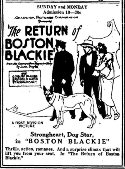 The Return of Boston Blackie (1927) starring Strongheart the Dog on DVD on DVD
