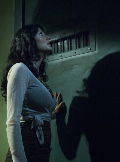 The Unquiet (2008) starring Cara Buono on DVD