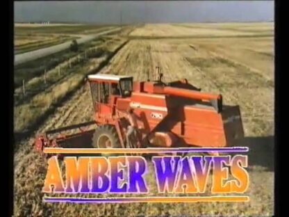 Amber Waves (1980) DVD