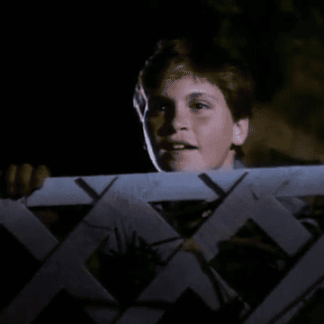 Secret Witness 1988 DVD